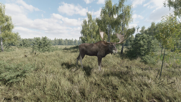 《猎捕行动/On the Hunt》PC中文版下载-含Build.20557498-十一资源