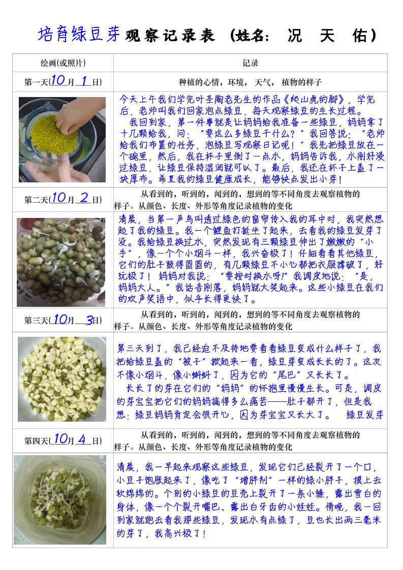 四上语文习作三：培育绿豆芽观察日记2《写观察日记》4页-十一资源